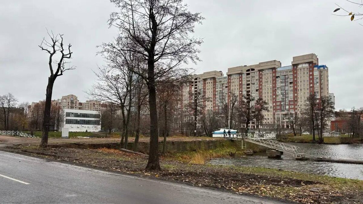    Фото: t.me/kkispb