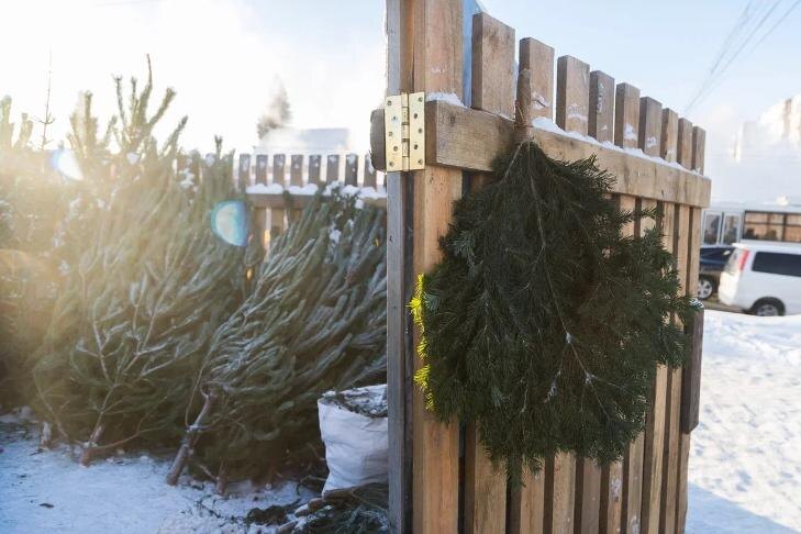    Фото Андрея Заржецкого