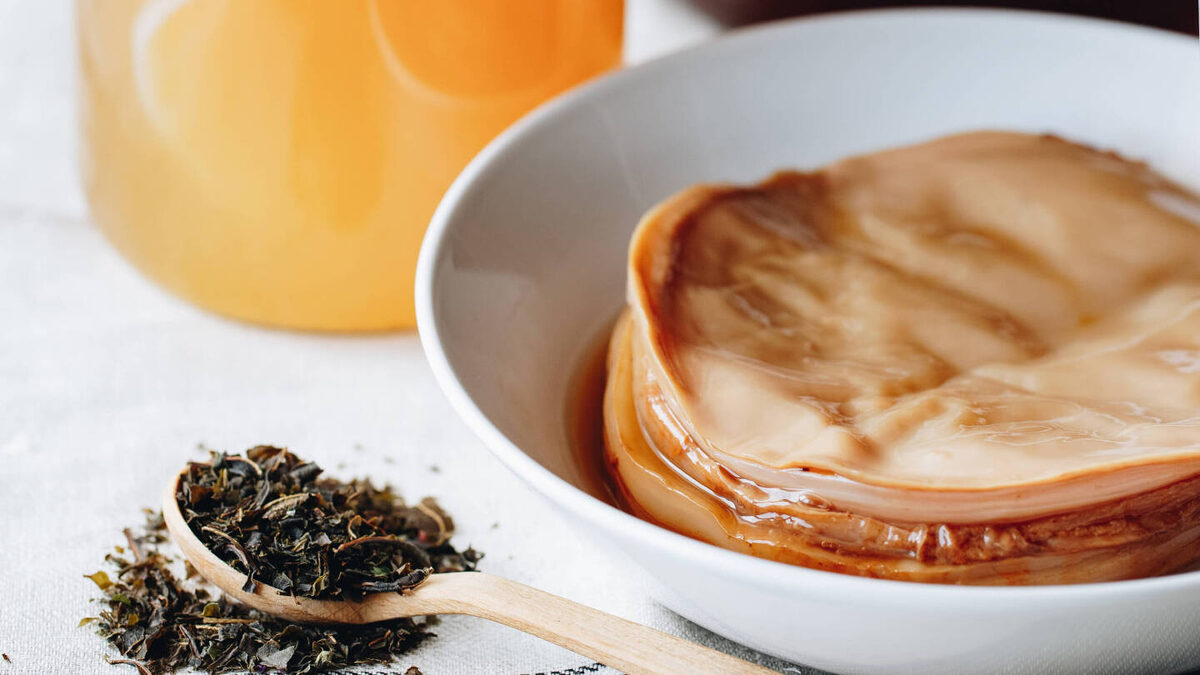     Фото: Wikipedia.org Чайный гриб — не гриб в биологическом смысле, а SCOBY — симбиотическая культура бактерий и дрожжей