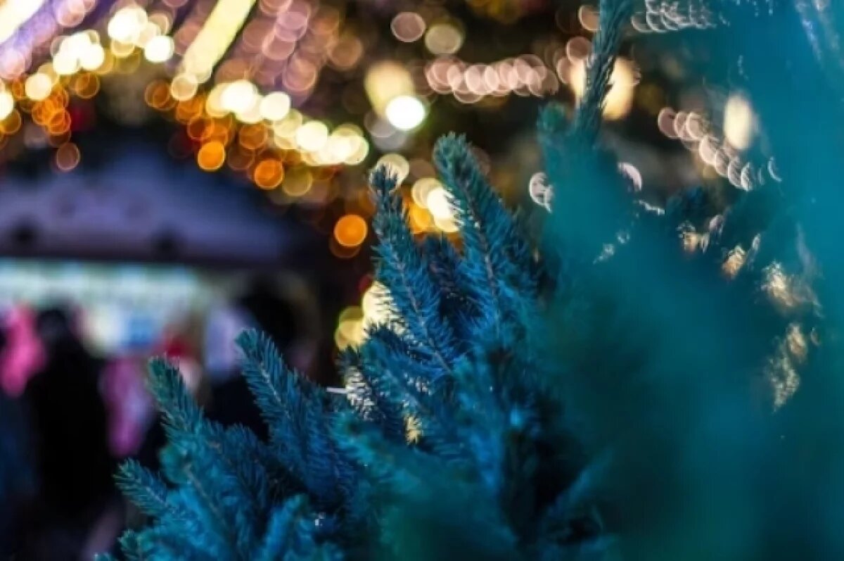    Работу новогоднего комплекса в Самаре продлили до 1 февраля