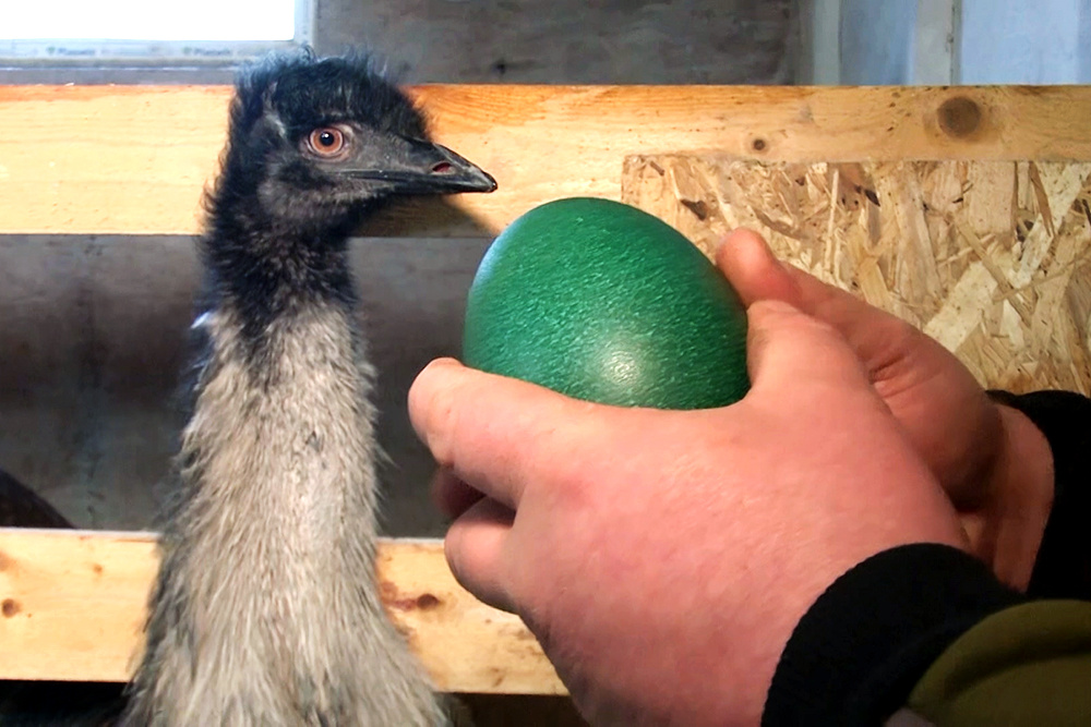    ©АО "ТВ Центр"