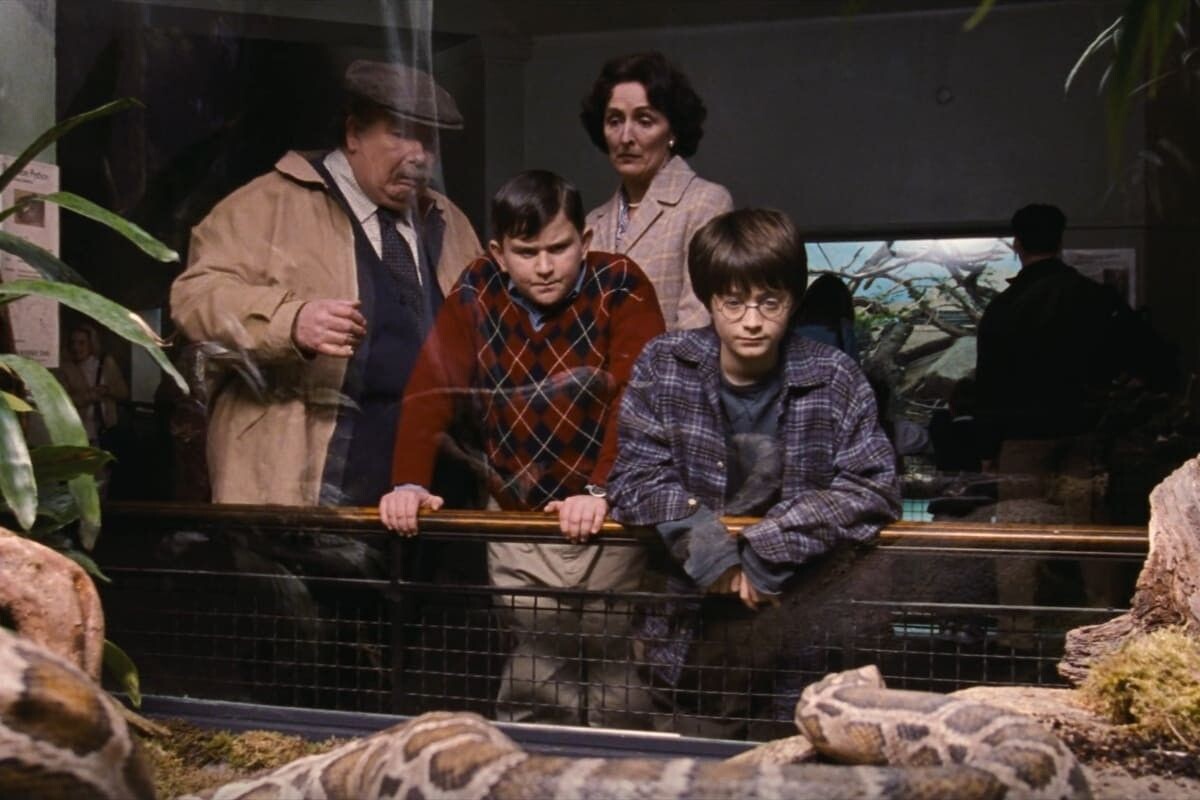 Кадр из фильма «Гарри Поттер и философский камень». Источник: Warner Bros.📷
