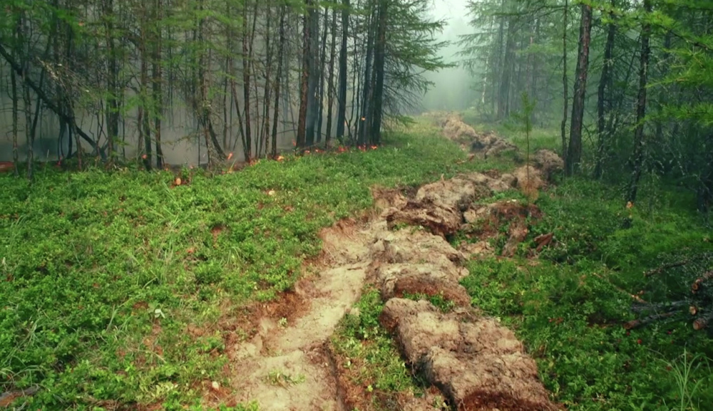    Фото: РИА Новости / ФБУ Авиалесоохрана