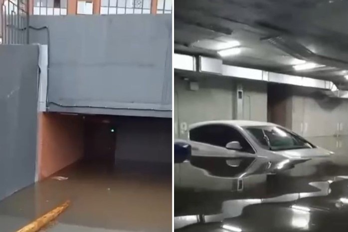    Фото: коллаж "Прецедента"