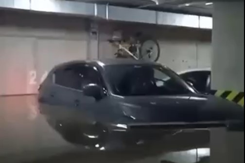    Фото: читатель "Прецедента"