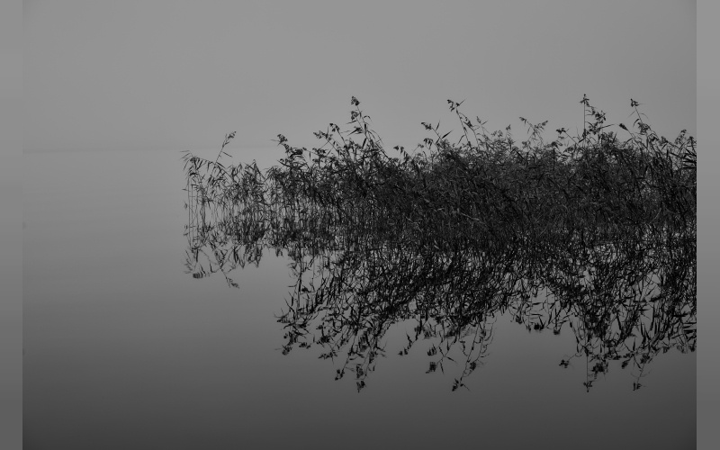    Евгений Алексеев