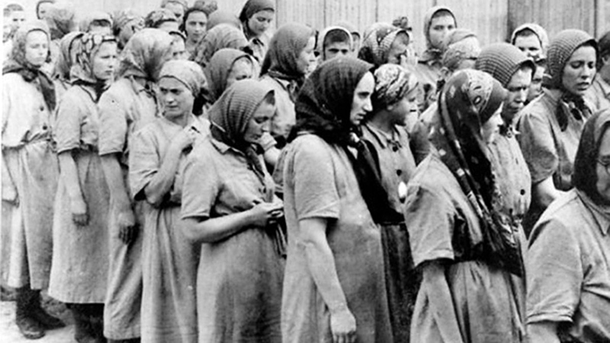 Фото из свободных источников.