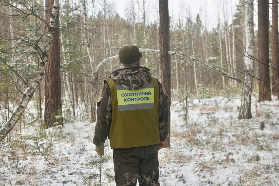    В ДНР запустят федеральную систему по сохранению охотничьих ресурсов (архивное фото) Ольга ЮШКОВА