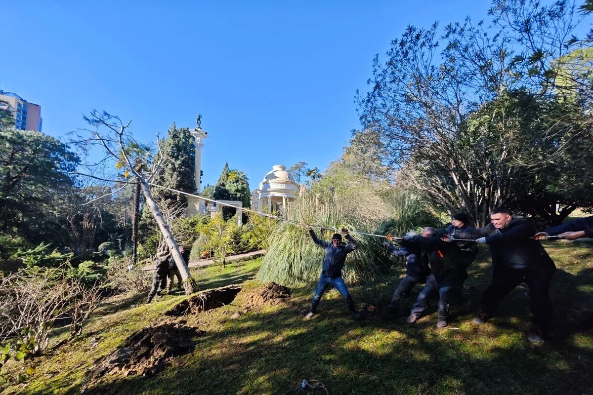    Фото пресс-службы Сочинского национального парка