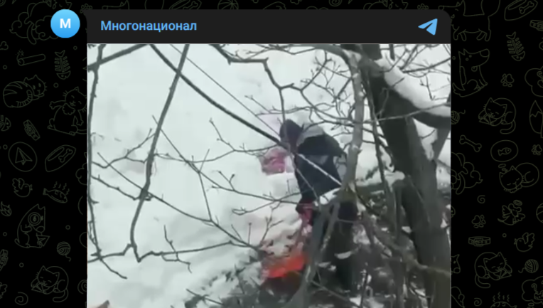 Фото: Telegram-канал "Многонационал"