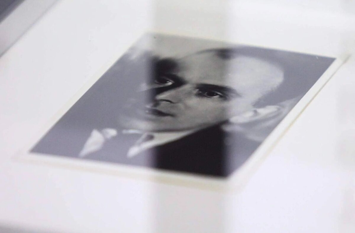 Фото: Кирилл Зыков / Агентство городских новостей «Москва»