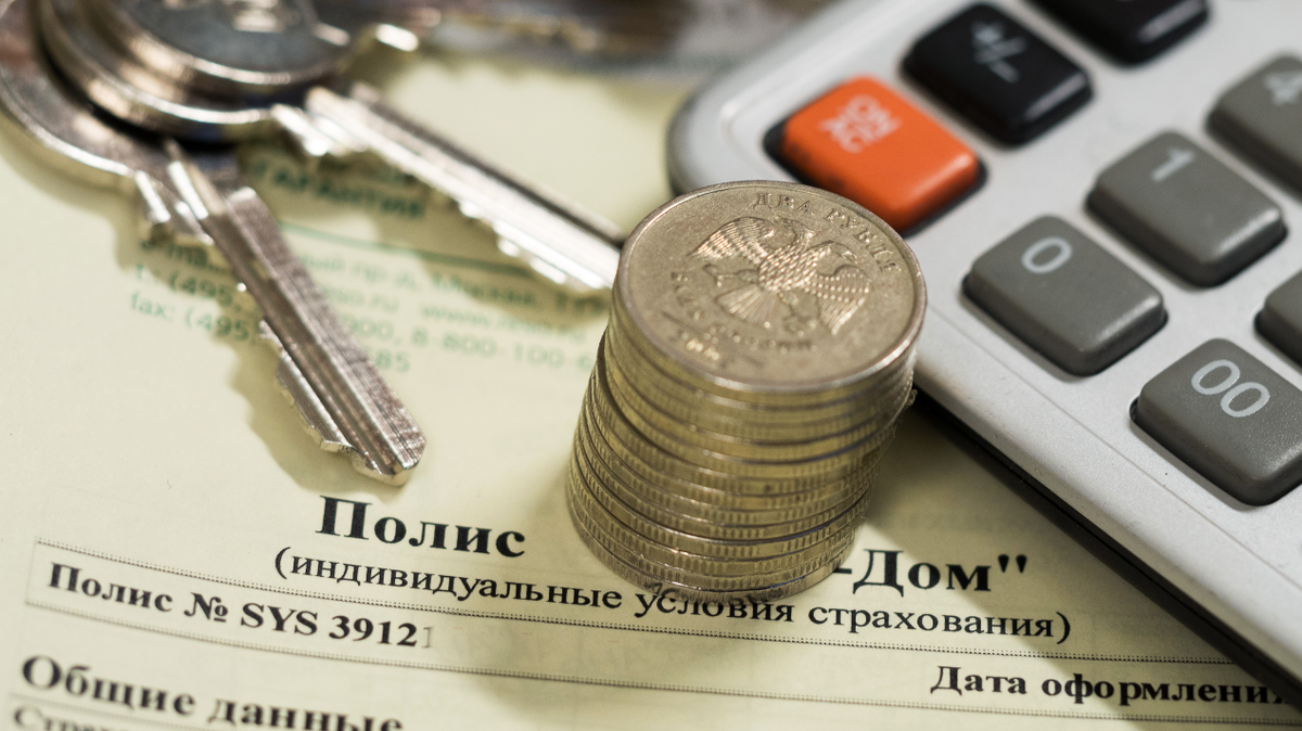    Источник: Семен Лиходеев/ТАСС