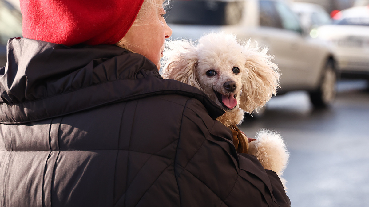   Валерий Шарифулин / ТАСС