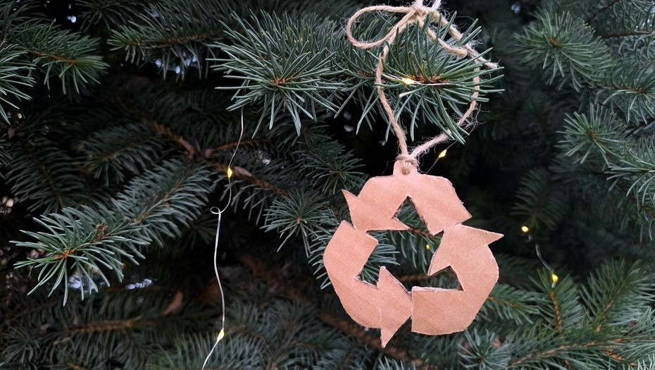 Фото: Rrrastalove / Shutterstock / FOTODOM