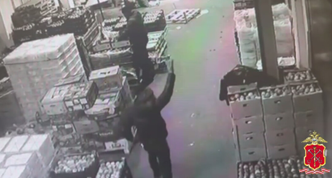 Фото: кадр видео пресс-службы ГУ МВД России по Петербургу и Ленобласти