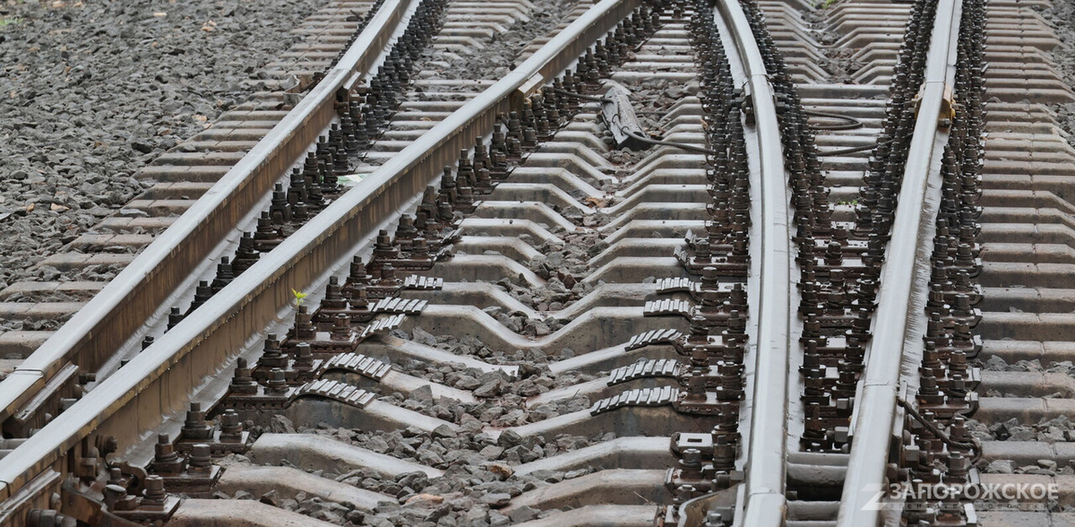    Фото: Запорожское агентство новостей