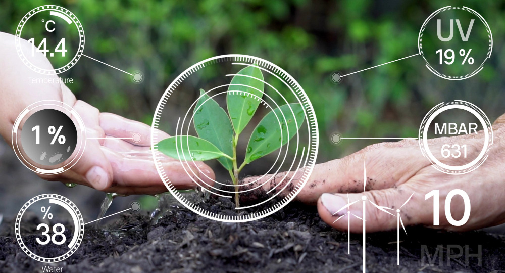 Ученые НовГУ предложили комплексную методику измерения экономической и социальной отдачи цифровых платформ в АПК