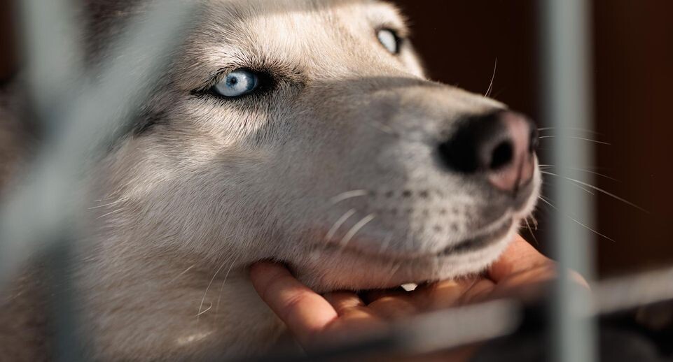    Медиасток.РФ