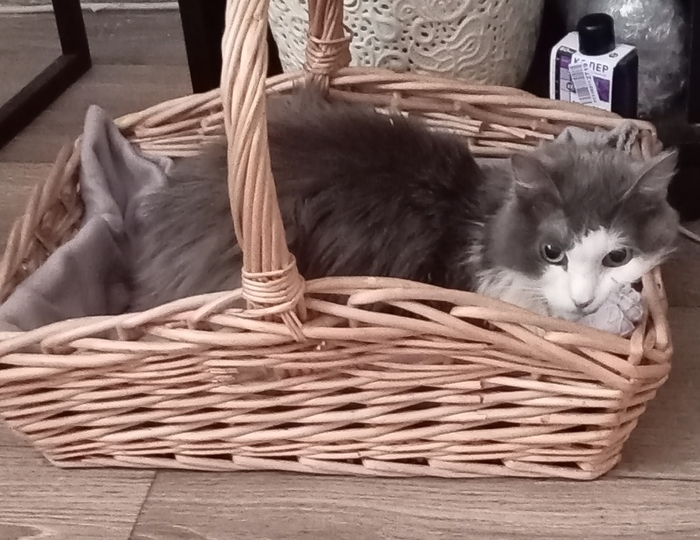 Поздравляю всех с прошедшими праздниками! Жизнь продолжается