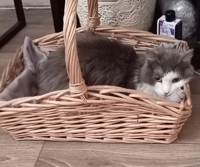 Всем привет от Клеопатры!