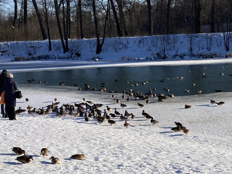     © фото - 46 ТВ