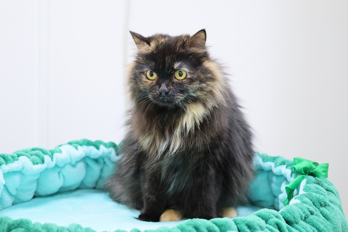 Боится, что она опять окажется «не такой»...