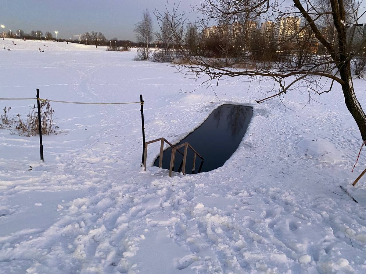     Фото: Бриф 24