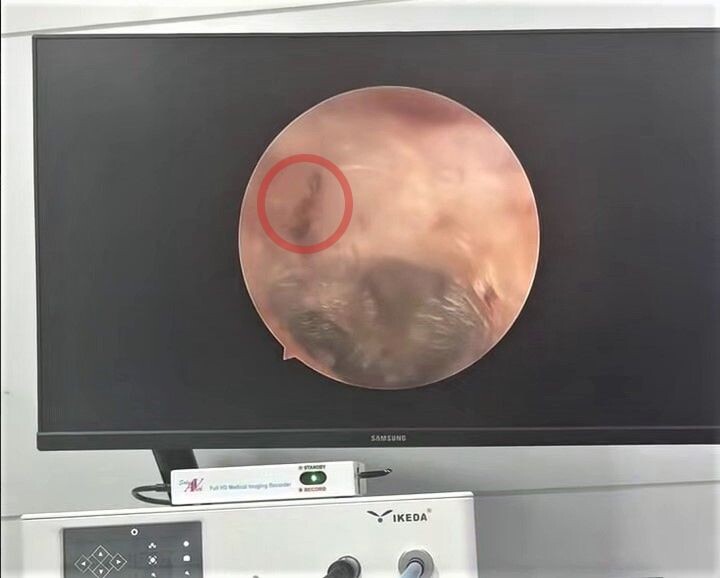     / Источник: Кадр из видео