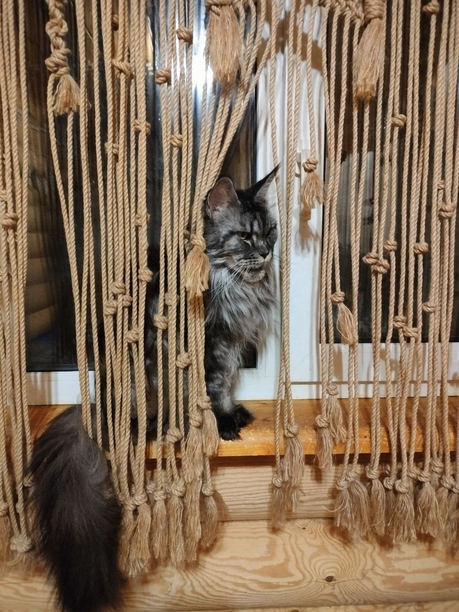 Elsa White King. 8 лет