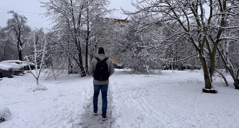    Фото progorod43.ru