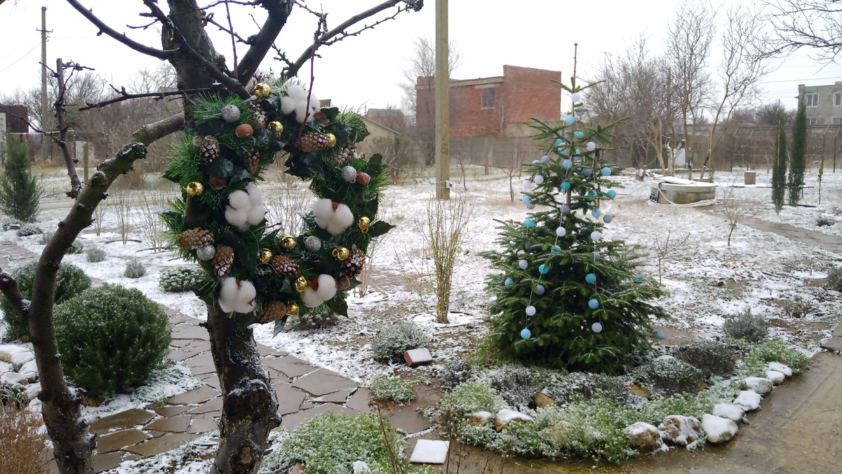 Декабрь 2024 года. Холодно. Но уже через неделю будет солнечно и тепло.