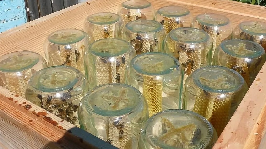 Сотовый мед в банках