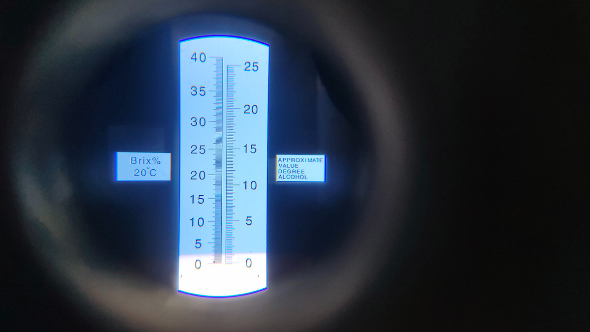 Показание на шкале рефрактометра около 2% сахара. 
