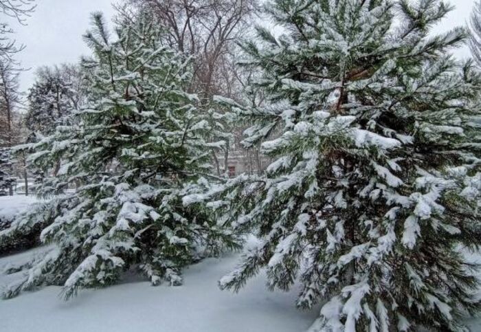 Иллюстрация: © «Панорама»