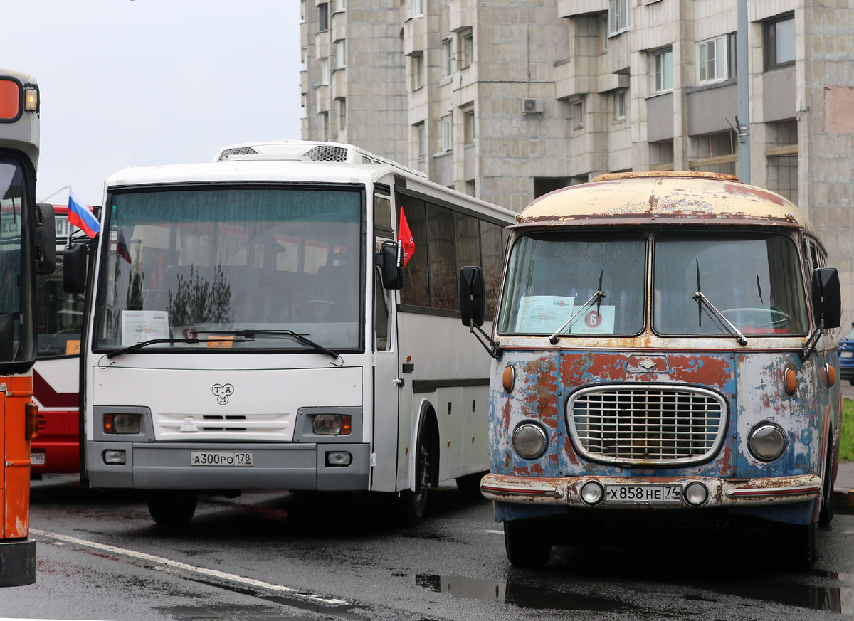 глянцевые и потрепанные жизнью экземпляры в одном строю