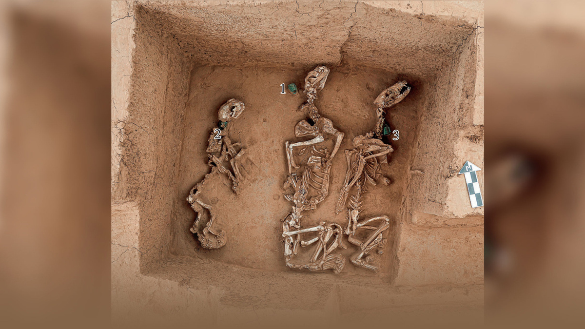     Фото: Chinese Academy of Social Sciences В провинции Хэнань археологи обнаружили ритуальные ямы, которые можно считать древнейшим из известных свидетельств системного содержания диких животных в неволе на территории Китая