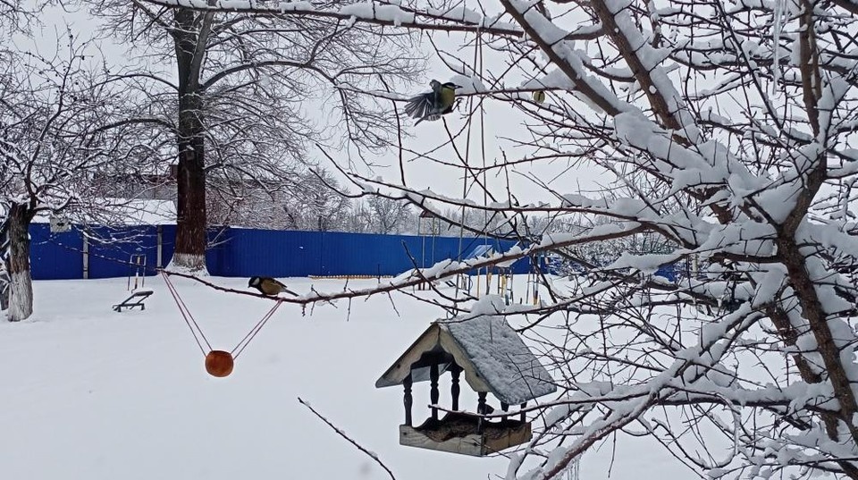    Конкурс проходит в трёх основных номинациях. ФОТО: Минприроды ЛНР