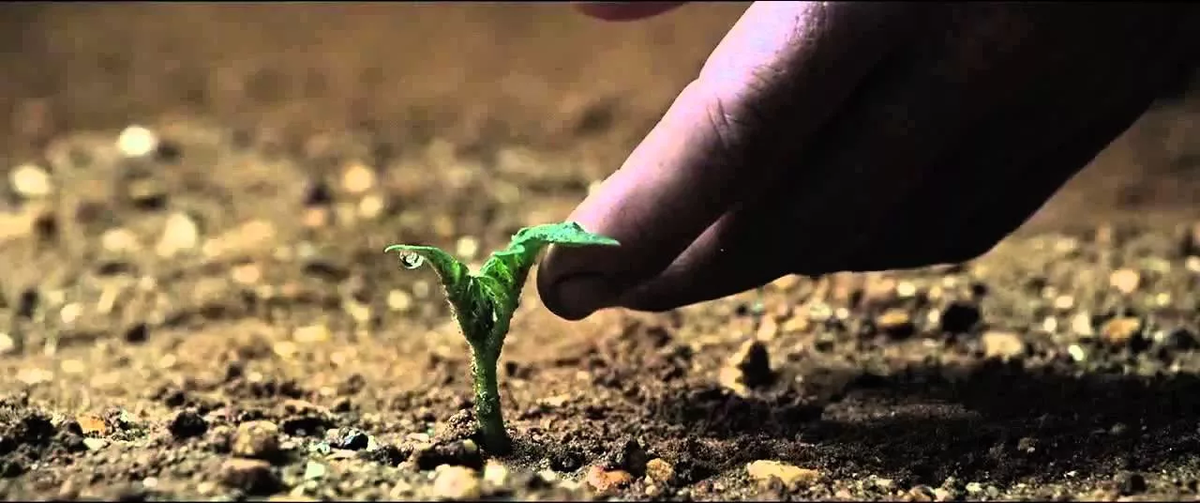 Кадр из кинофильма «Марсианин»