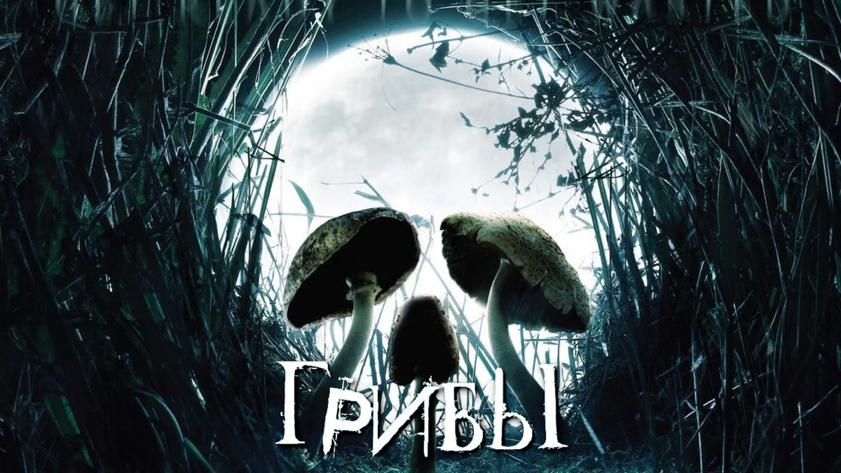 Фото из свободных источников.