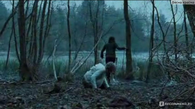 Фото из свободных источников.