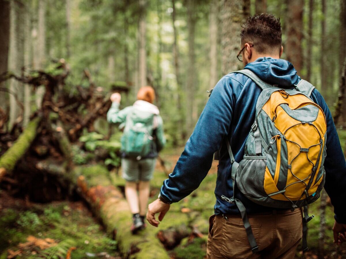    Туристы во время похода по лесу | © iStock.com / hobo_018