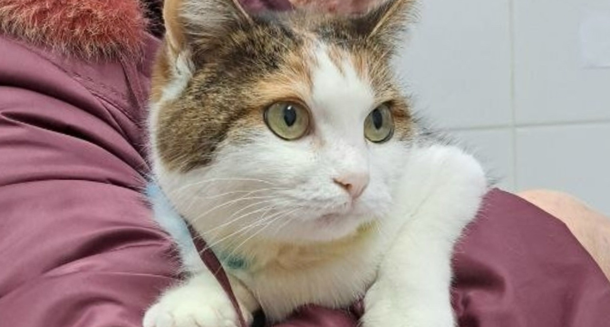    ярославская областная ветеринарная станция