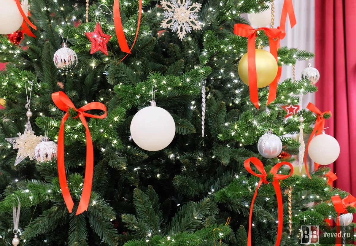     Фото: Владислав Постников / Вечерние ведомости