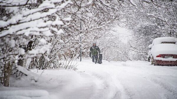    © РИА Новости Крым . Дмитрий Макеев