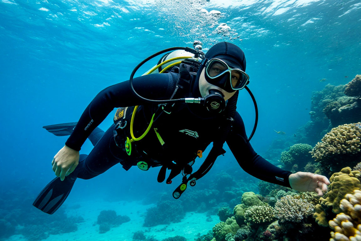    Фото: Коллаж RuNews24.ru