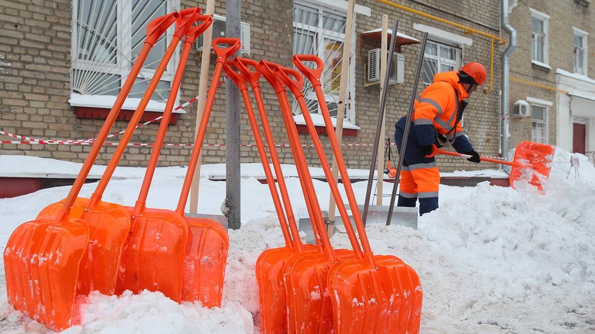   Фото: Василий Кузьмиченок / АГН Москва