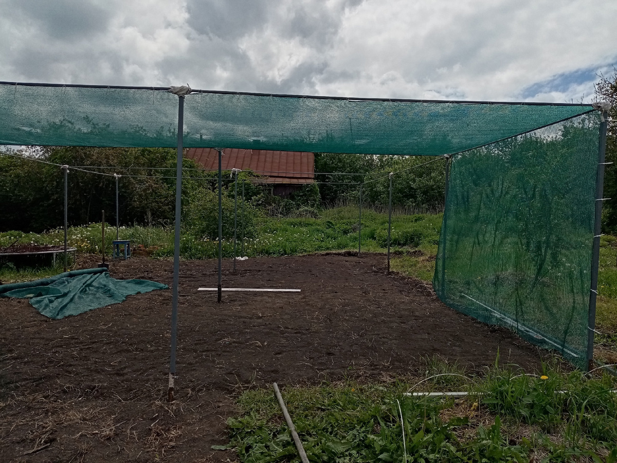 Начало строительства площадки для контейнеров. С трудом поместилось 2000 шт.