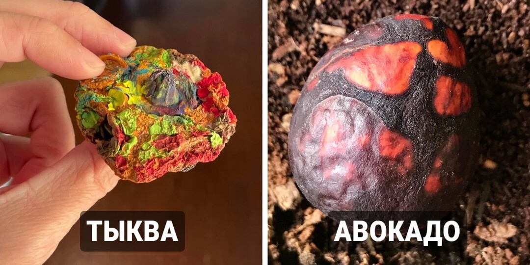 17 любопытных фотографий, которые показывают, что происходит с вещами, о которых забыли на некоторое время