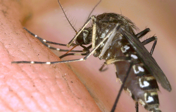 Tom Ervin/Getty Images