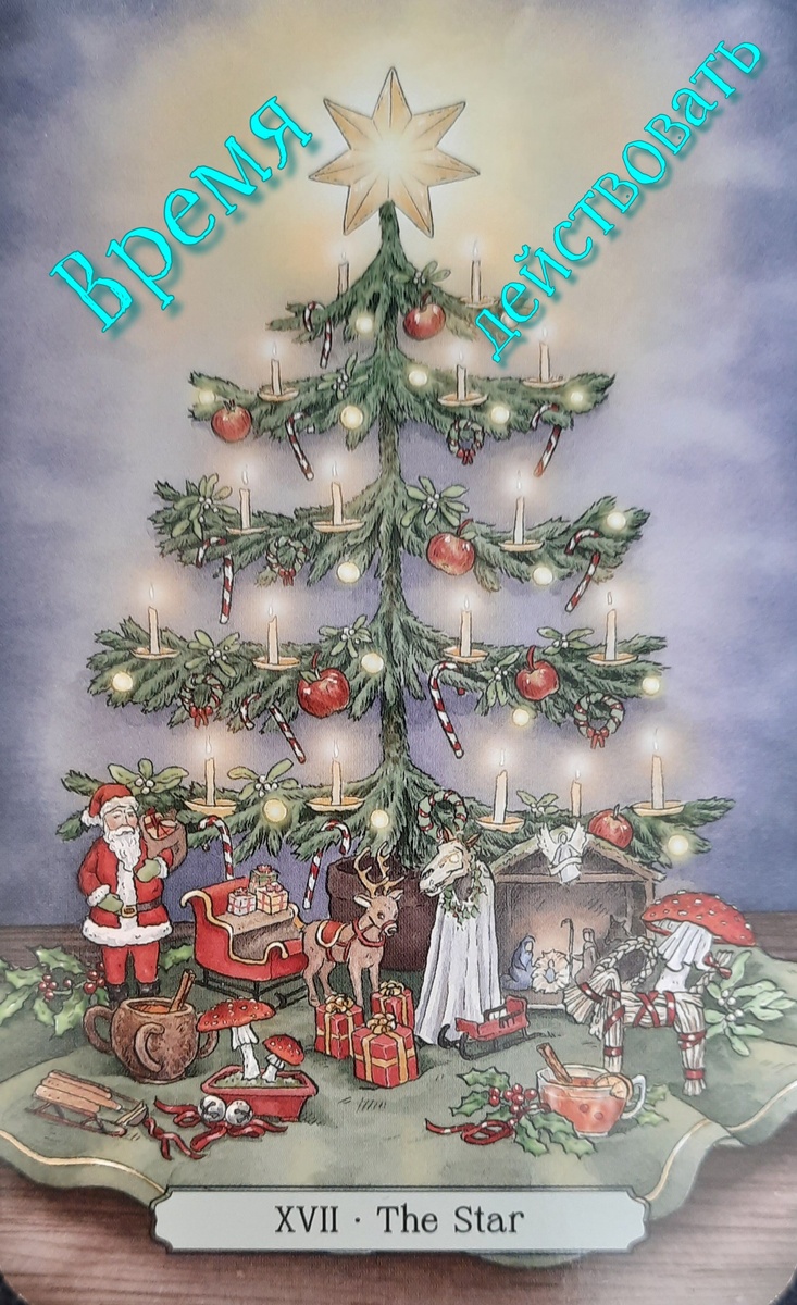 фото ЕлВита